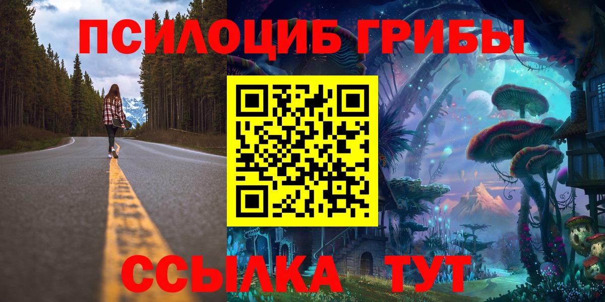 Галлюциногенные грибы мицелий  Вход с VPN  Аргун  купить наркоту  Псилоцибиновые грибы Cubensis 